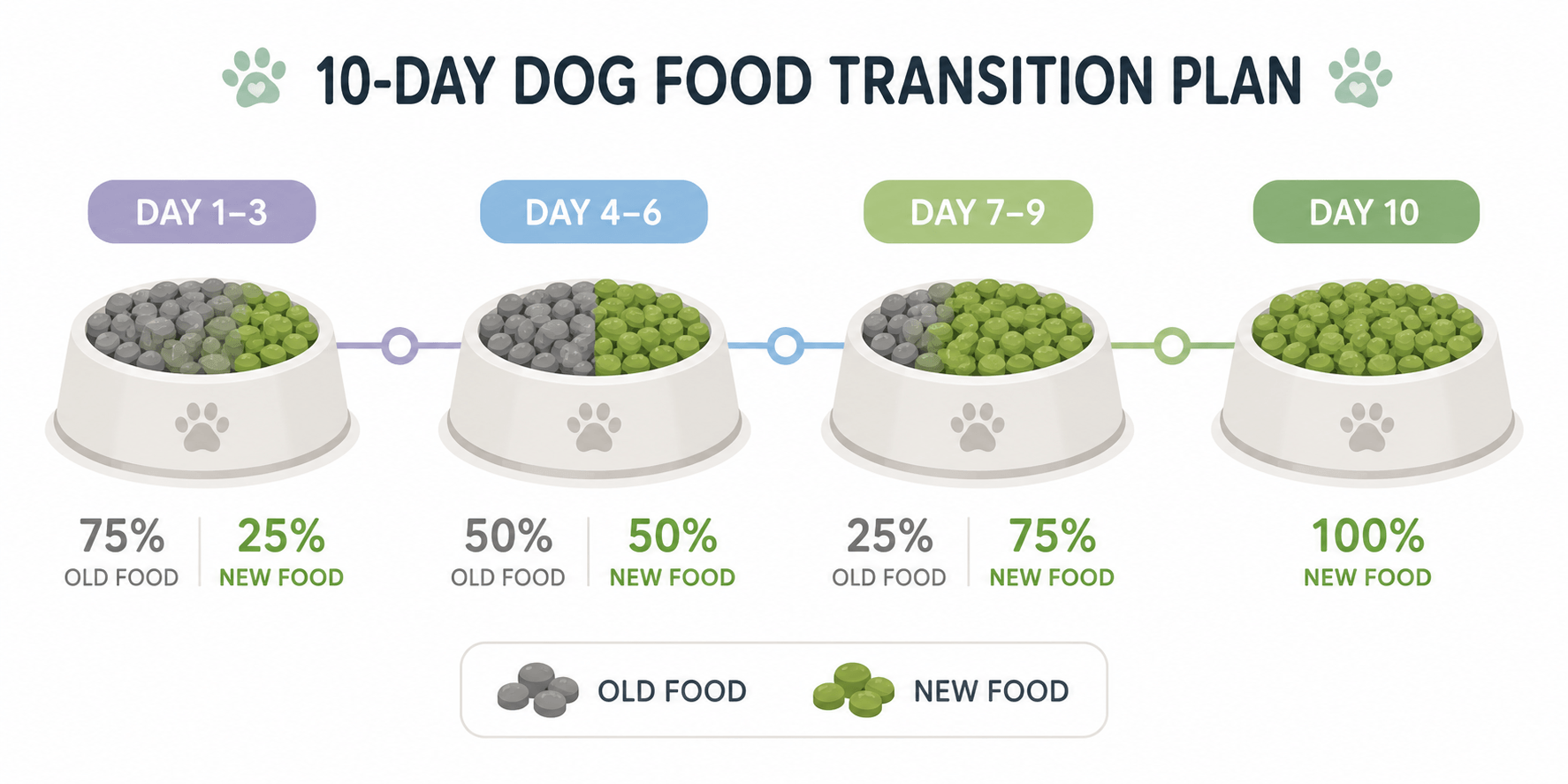 10-day dog food transition plan infographic showing gradual switch from old food to new food over 4 stages
