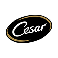 Cesar