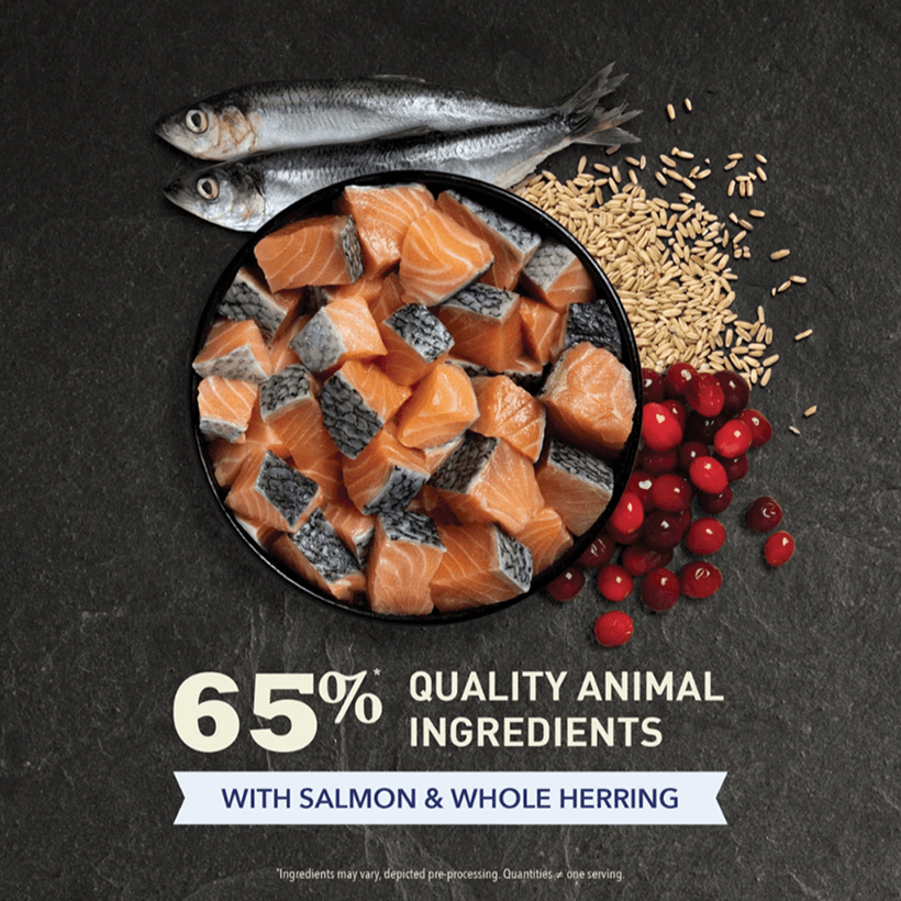 Acana Indoor Entree Herring & Salmon Quality Animal 
Food