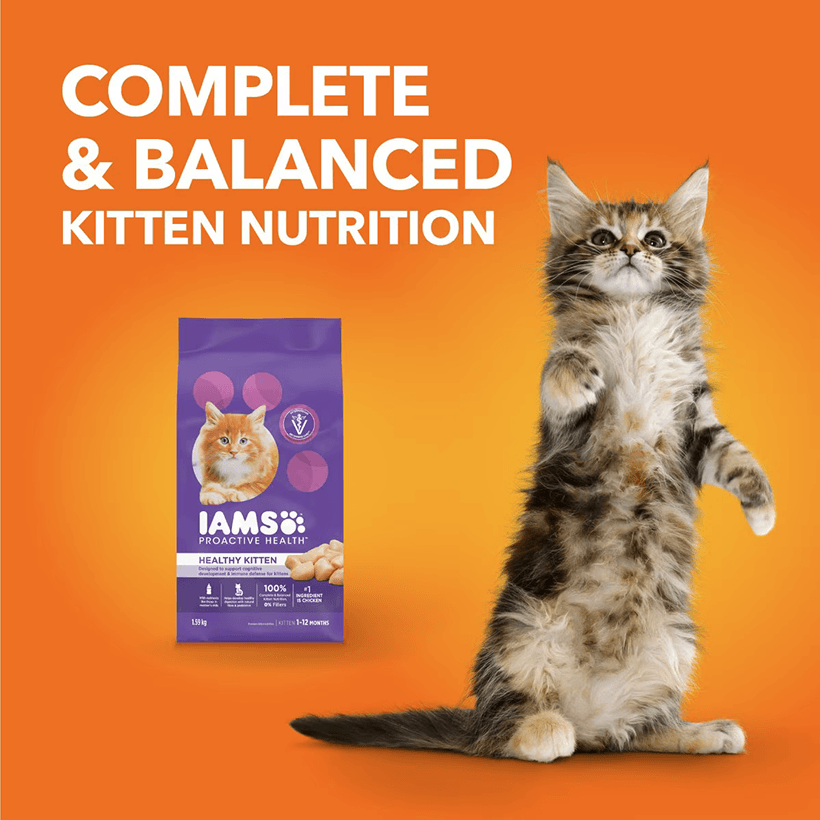 Iams Proactive Health Healthy Kitten Chicken Balanced Food