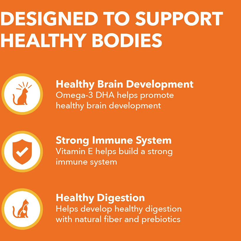 Iams Proactive Health Healthy Kitten Chicken For Healthy Bodies