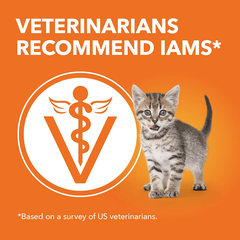 Iams Proactive Health Healthy Kitten Chicken Good For Small Cats