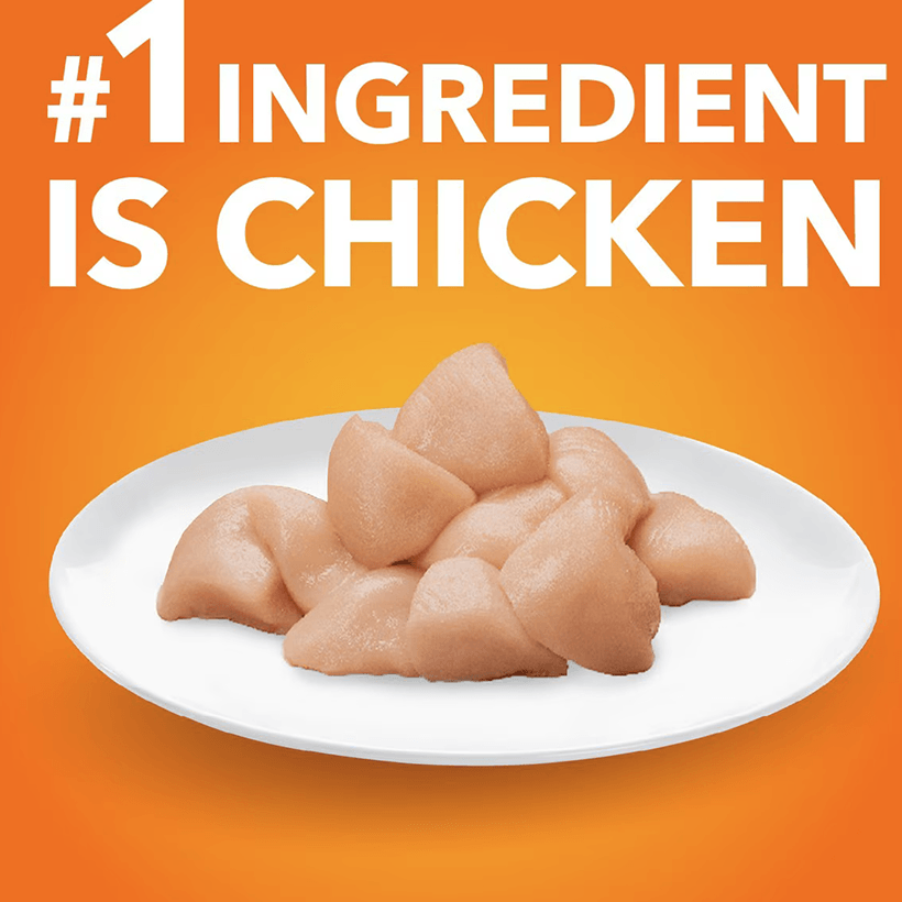 Iams Proactive Health Healthy Kitten Chicken One Ingredient