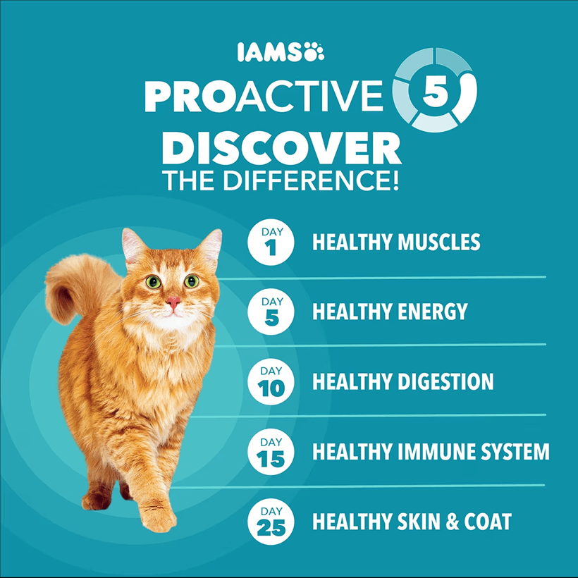 Iams Proactive Health Indoor Weight & Hairball Care Chicken & Turkey Discover