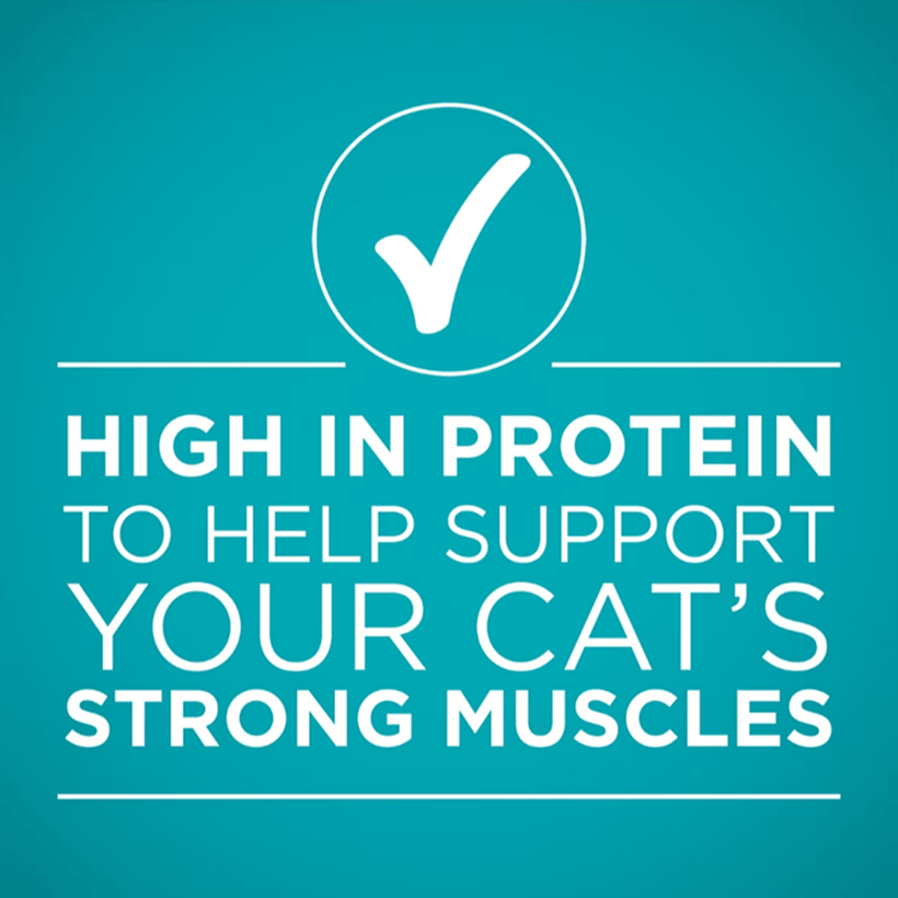 Purina ONE High Protein Chicken in Gravy High in Protein
