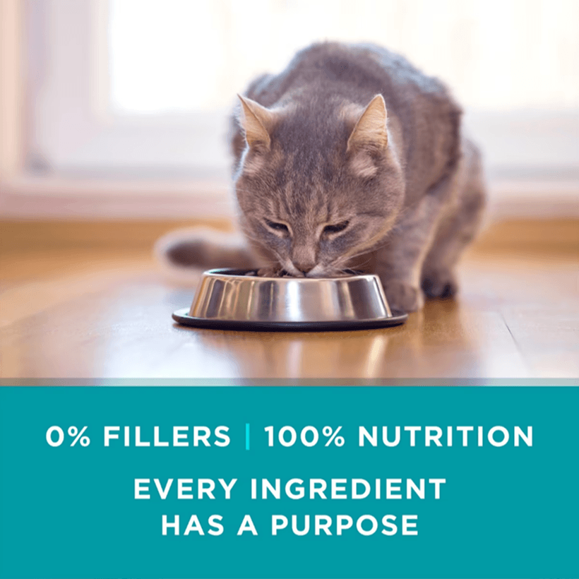 Purina ONE High Protein Chicken in Gravy Nutrition