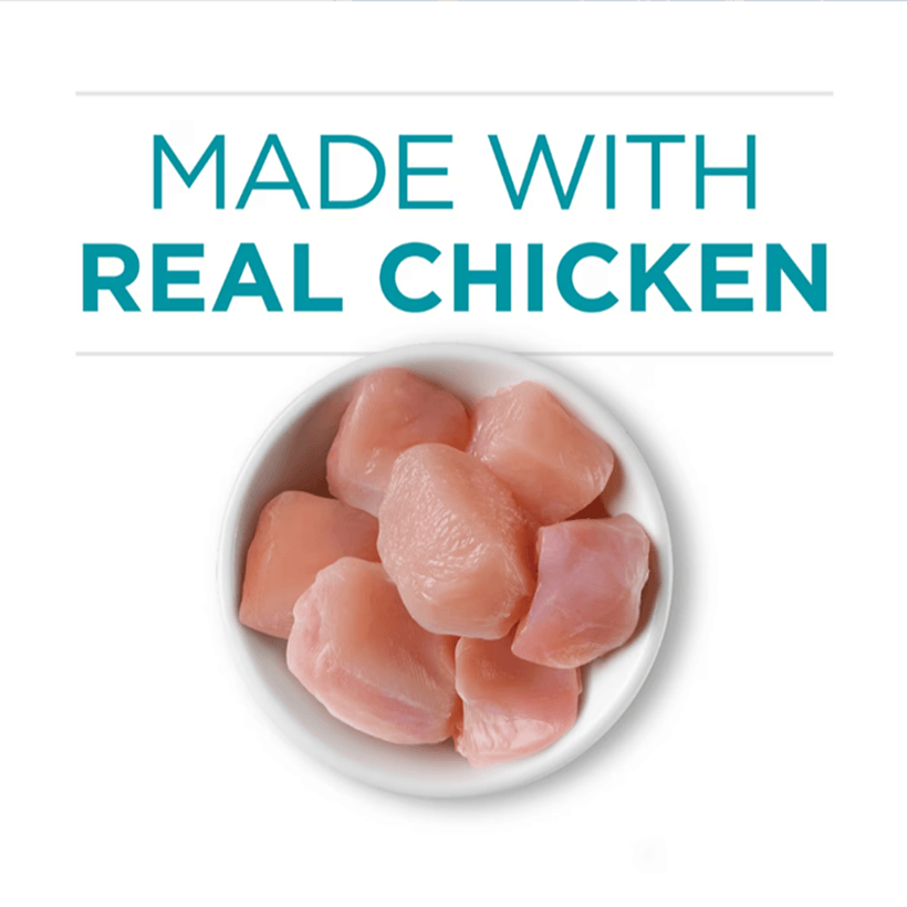 Purina ONE High Protein Chicken in Gravy Real Chicken