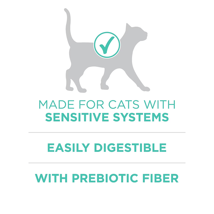 Purina ONE Sensitive Skin & Stomach Turkey For Sensitive System