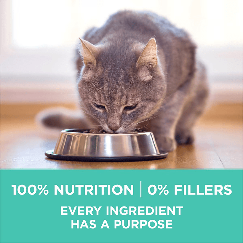 Purina ONE Sensitive Skin & Stomach Turkey Nutrition