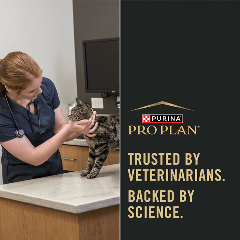 Purina Pro Plan Sensitive Skin & Stomach Adult Salmon Trusted By Vets