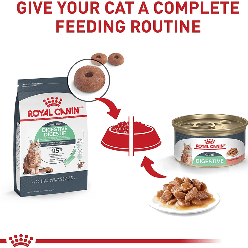 Royal Canin Digestive Care Adult Cat Feeding Routine
