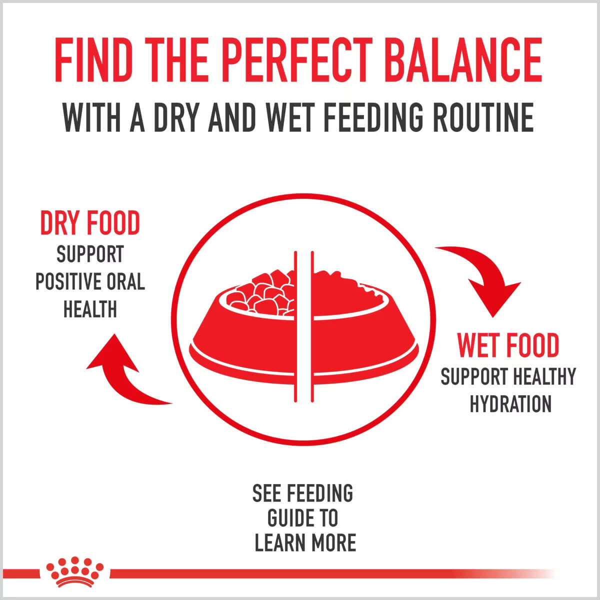 Royal Canin Feline Health Nutrition Indoor Adult Balance