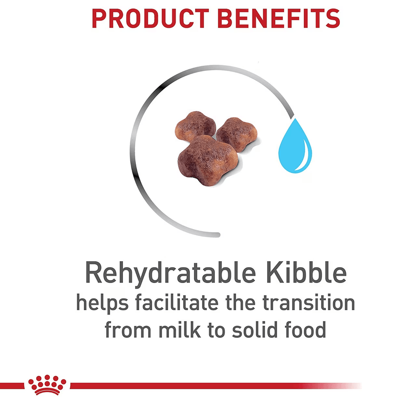 Royal Canin Feline Health Nutrition Mother & Babycat Benefits