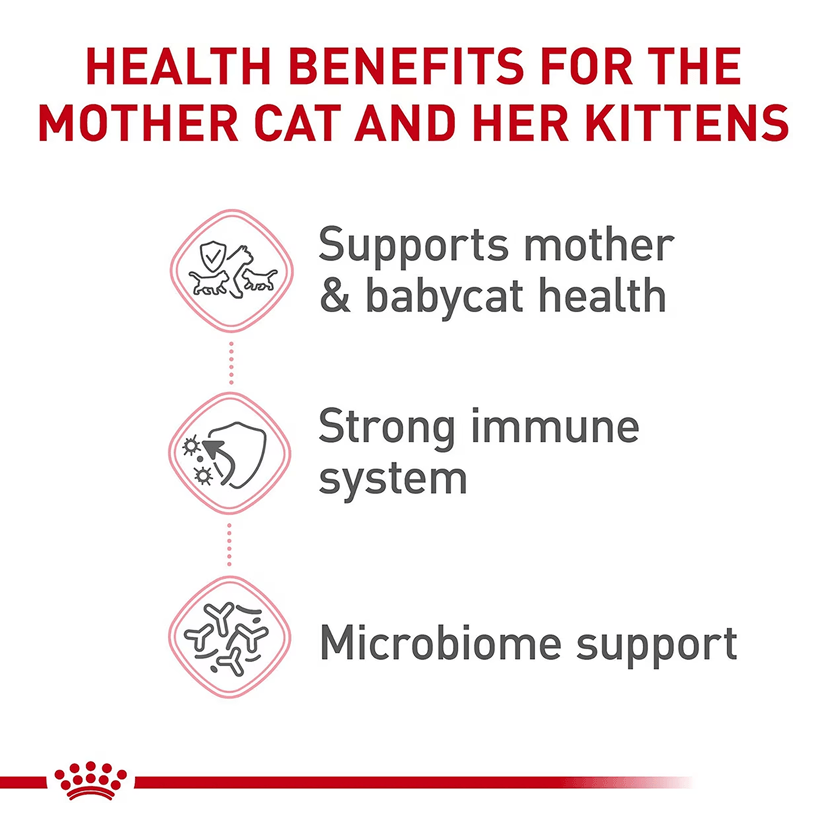 Royal Canin Feline Health Nutrition Mother & Babycat Healthy
