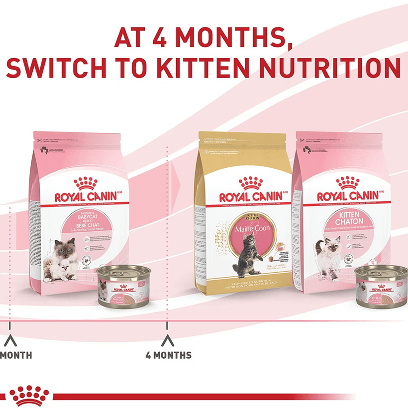 Royal Canin Feline Health Nutrition Mother & Babycat Period