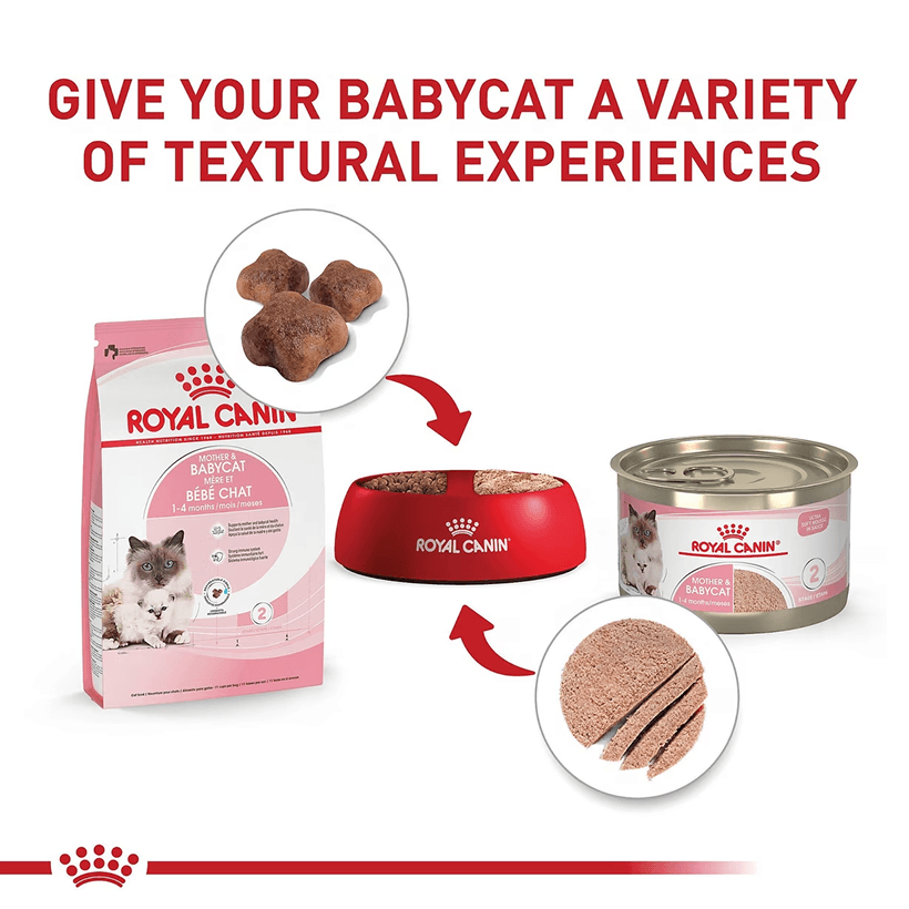 Royal Canin Feline Health Nutrition Mother & Babycat Textural Experiences
