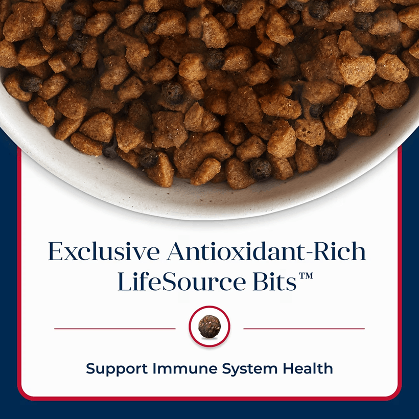 Blue Buffalo Basics Skin & Stomach Care Salmon & Potato Exclusive Rich Life Source Bits