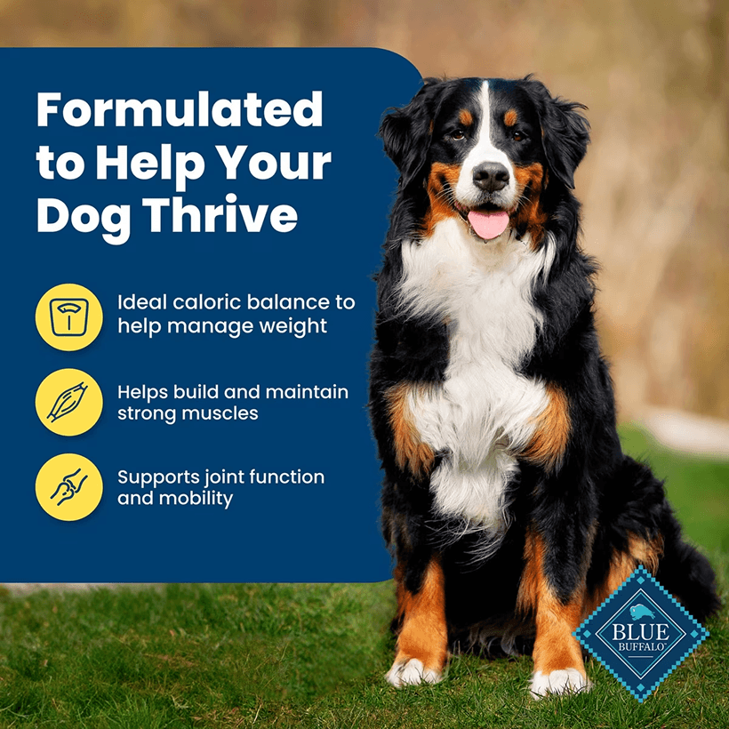 Blue Buffalo Life Protection Healthy Weight Large Breed Chicken & Brown Rice Good Formula