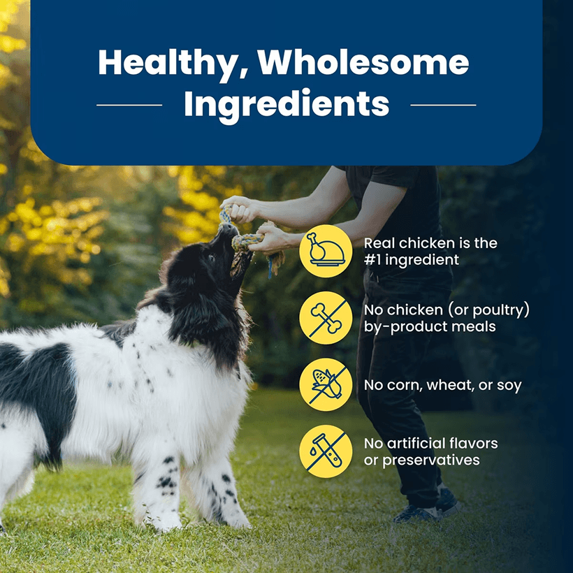 Blue Buffalo Life Protection Healthy Weight Large Breed Chicken & Brown Rice Healthy