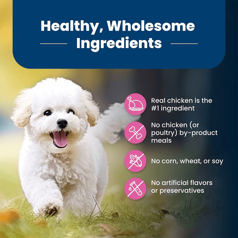 Blue Buffalo Life Protection Small Breed Chicken & Brown Rice Healthy