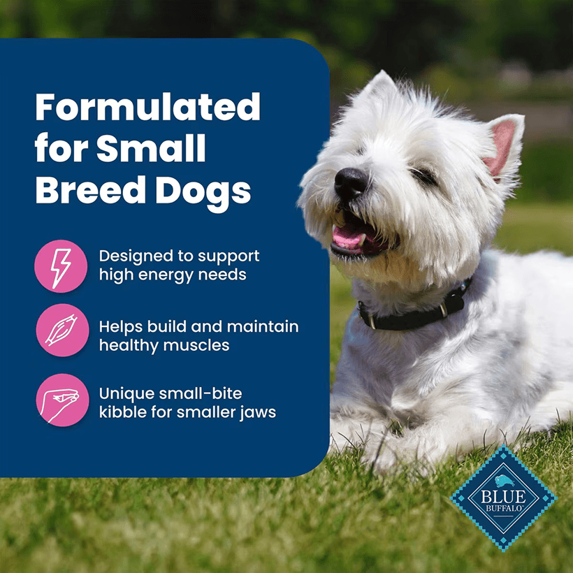 Blue Buffalo Life Protection Small Breed Chicken & Brown Rice Small Breed Dogs