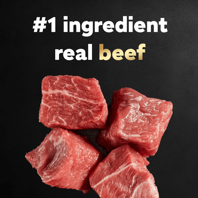 Cesar Filet Mignon Flavor & Spring Vegetables Beef