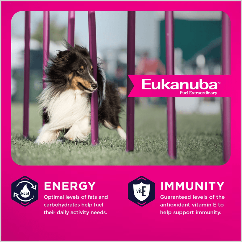 Eukanuba Medium Breed Chicken Energy Immunity