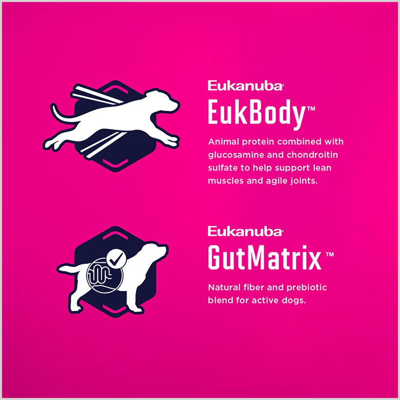 Eukanuba Medium Breed Chicken Healthy