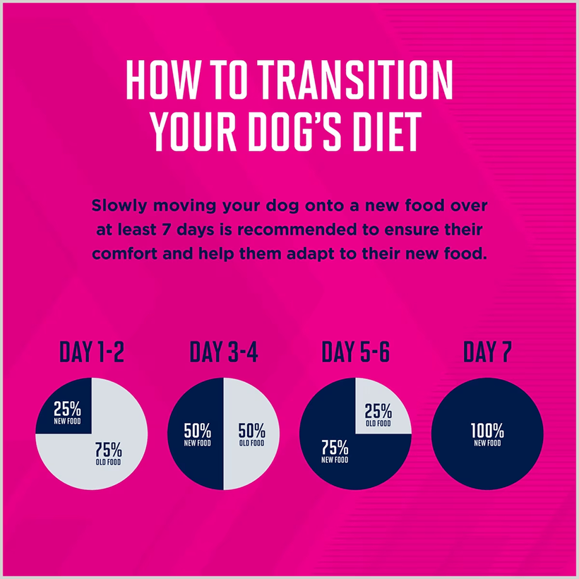 Eukanuba Medium Breed Chicken Transition