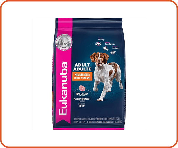 Eukanuba Medium Breed Chicken Review