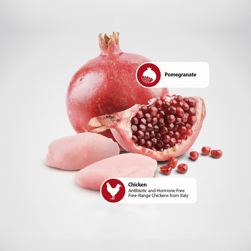 Farmina N&D Prime Chicken & Pomegranate Medium & Maxi Ingredients