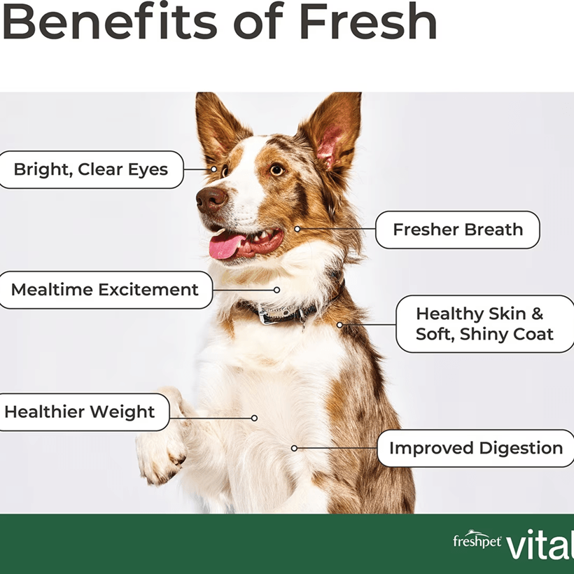 Freshpet Vital Shredded Chicken Sweet Potatoes & Carrots Benefits