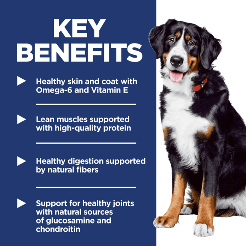 Hill's Science Diet Adult Large Breed Chicken & Barley Key Benefits