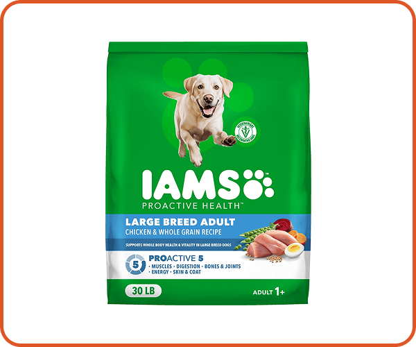 Iams Proactive Health Large Breed Adult Chicken Review