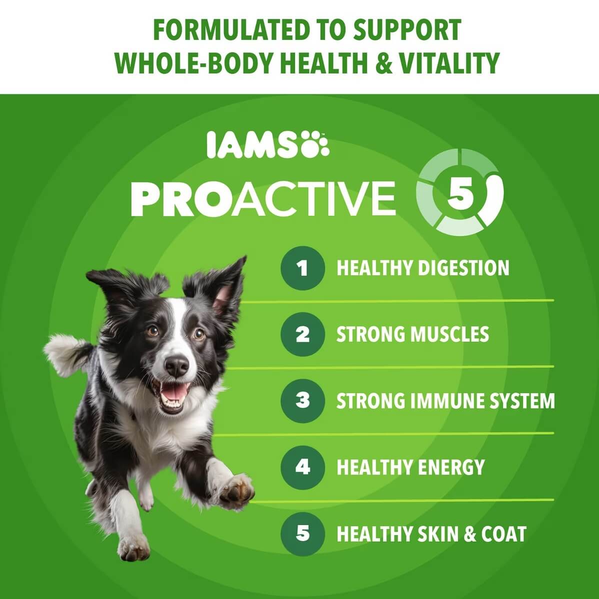 Iams Proactive Health Minichunks With Real Chicken & Whole Grains Five Points