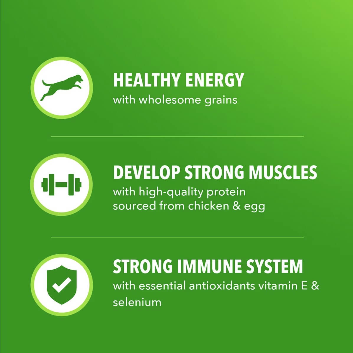 Iams Proactive Health Minichunks With Real Chicken & Whole Grains Info