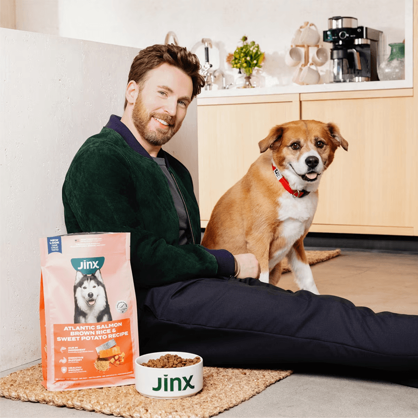 Jinx Chicken Brown Rice & Sweet Potato ALS Kibble Happy Dog