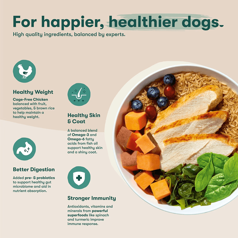 Jinx Chicken Brown Rice & Sweet Potato ALS Kibble Healtier Dogs