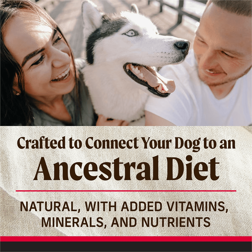 Merrick Backcountry Raw Infused Great Plains Red Recipe with Beef and Lamb Ancestral Diet