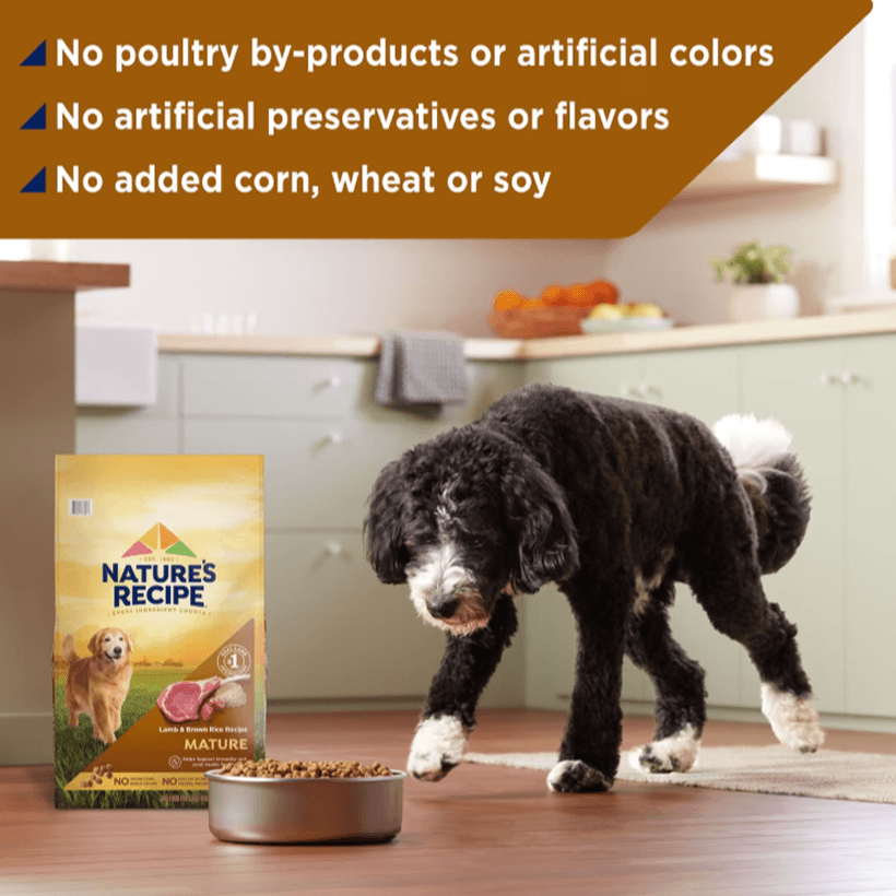Nature's Recipe Mature Lamb & Brown Rice No Added Corn or Artificial Colors