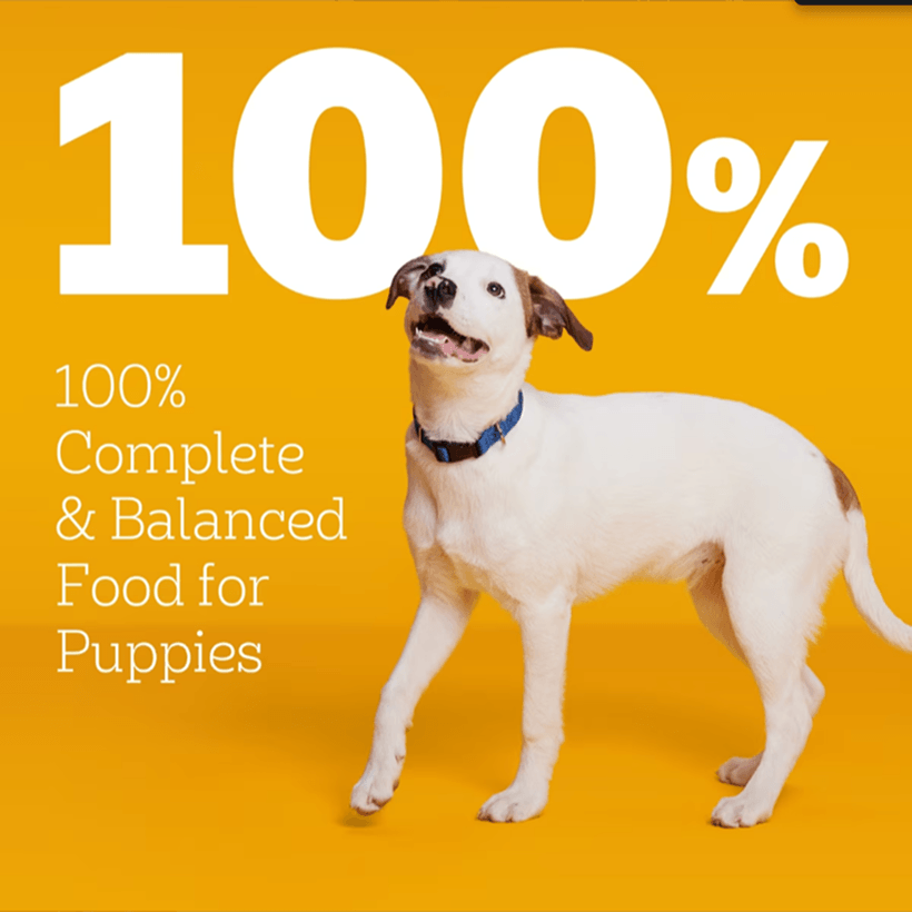 Pedigree Puppy Chicken Rice & Vegetable Balanced Food Puppies