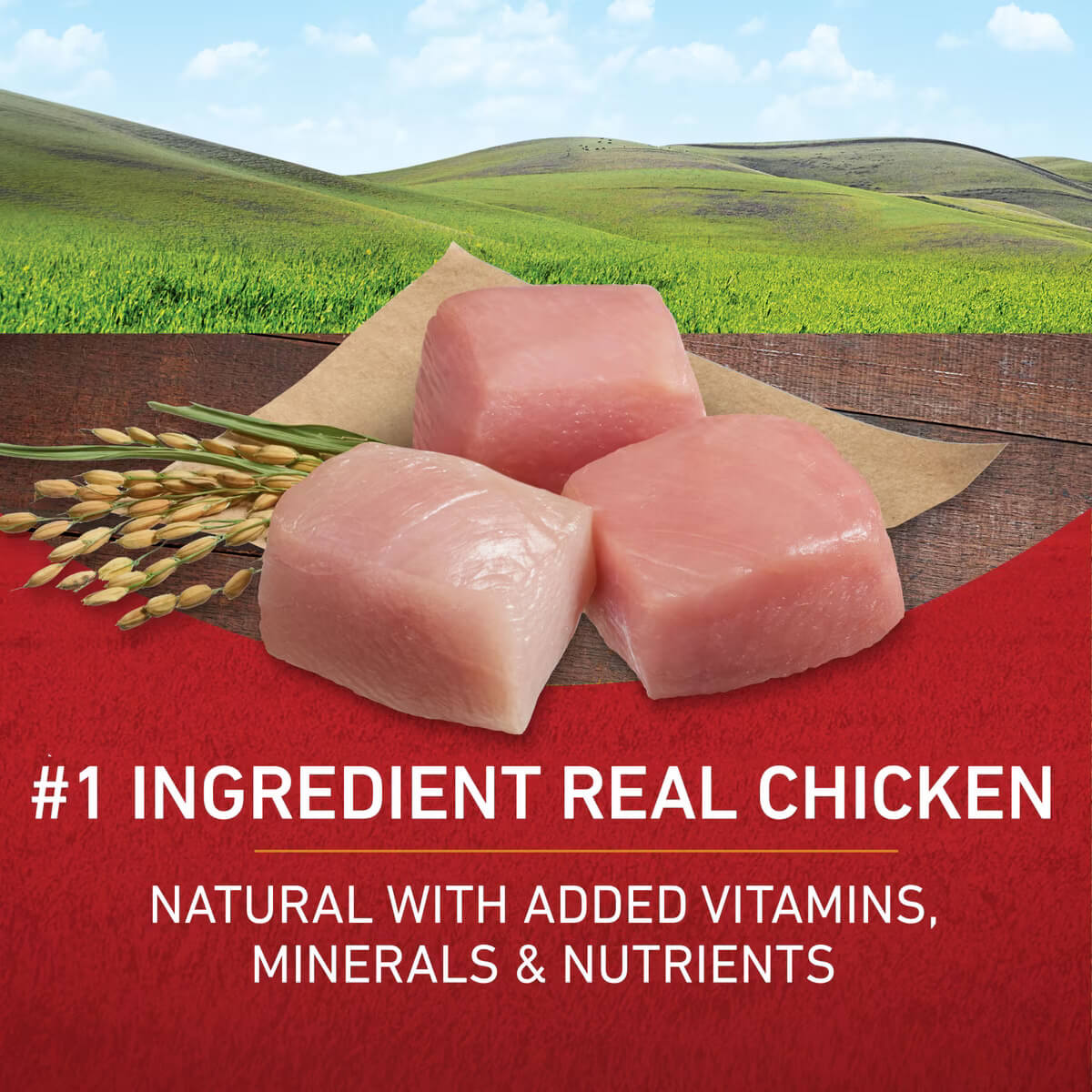 Purina ONE Natural Adult Chicken & Rice Formula Meat