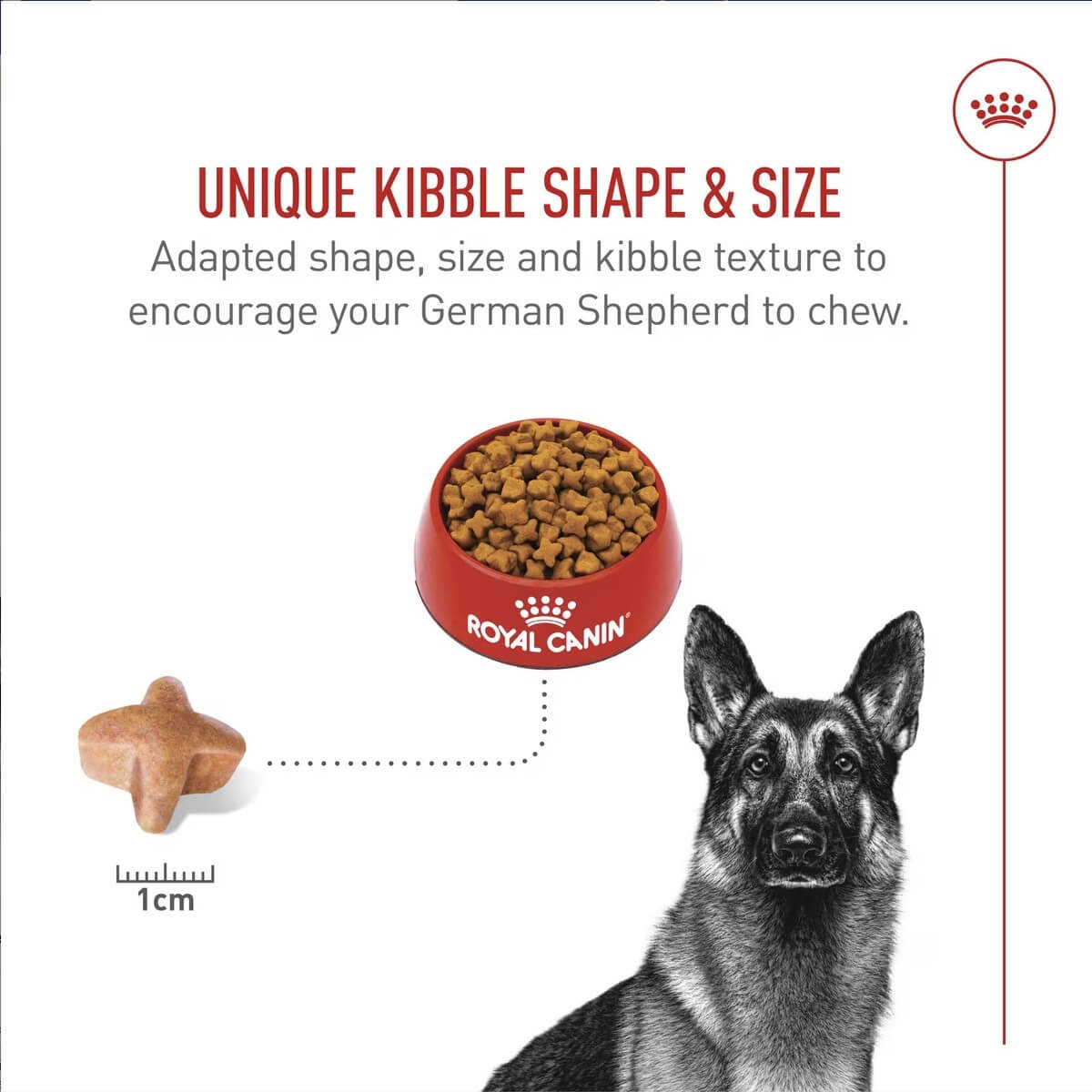 Royal Canin Breed Health Nutrition German Shepherd Kibble Shape Size