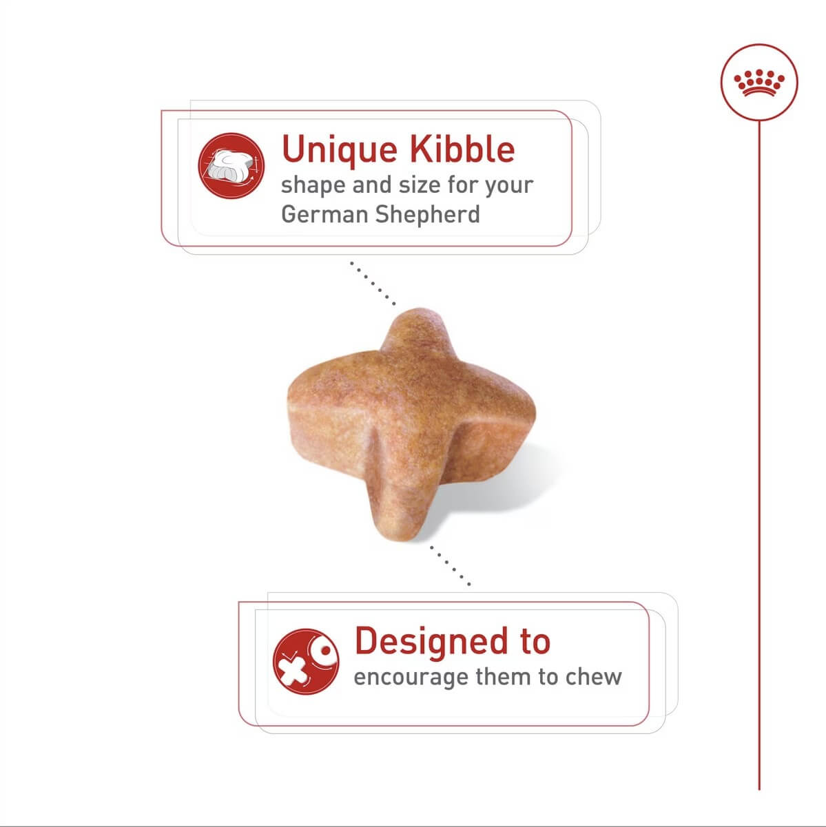 Royal Canin Breed Health Nutrition German Shepherd Kibble
