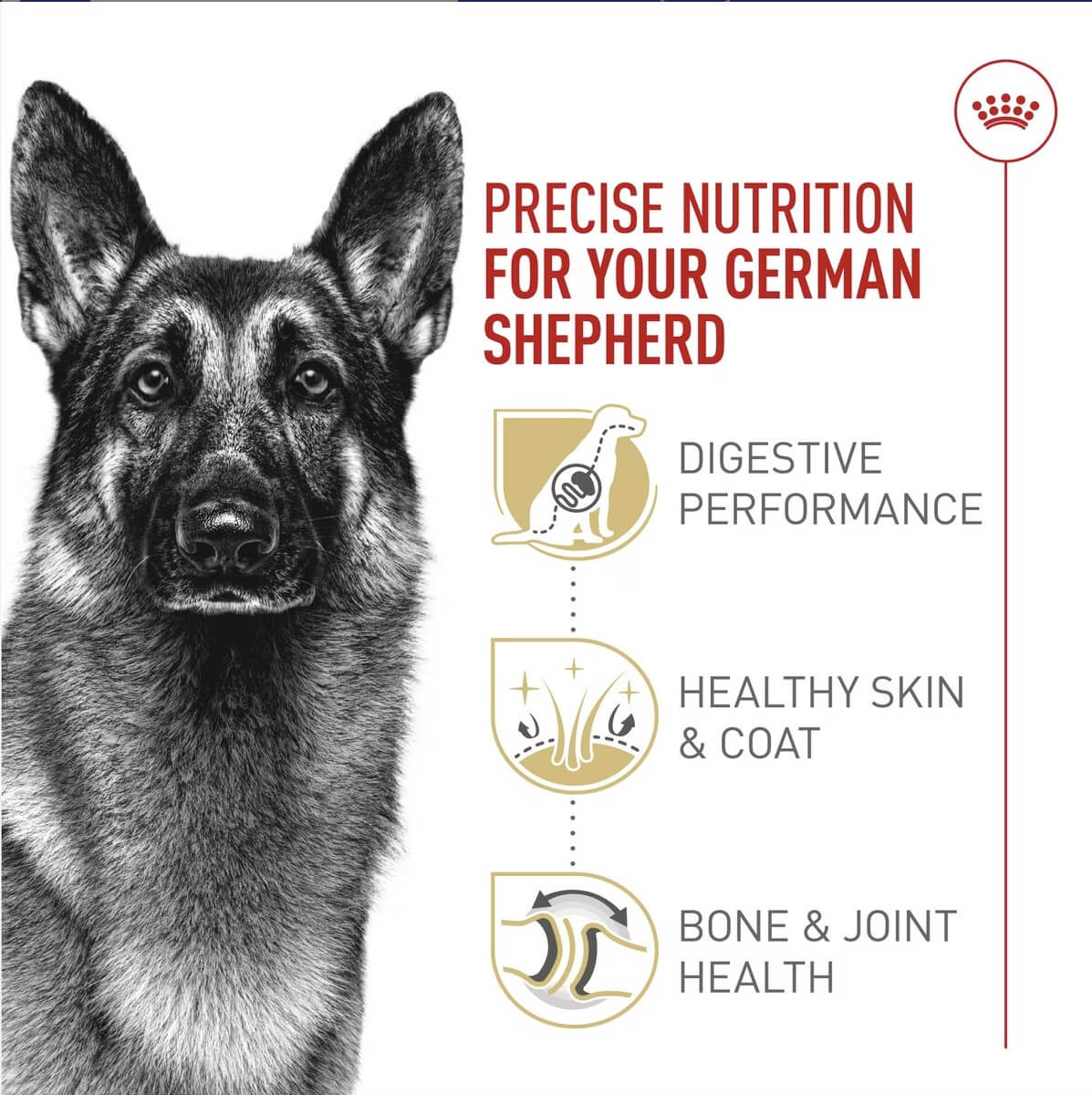 Royal Canin Breed Health Nutrition German Shepherd Special Food