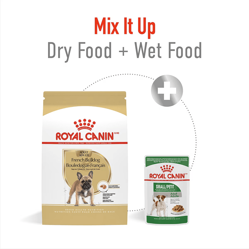 Royal Canin French Bulldog Breed Health Nutrition Combination