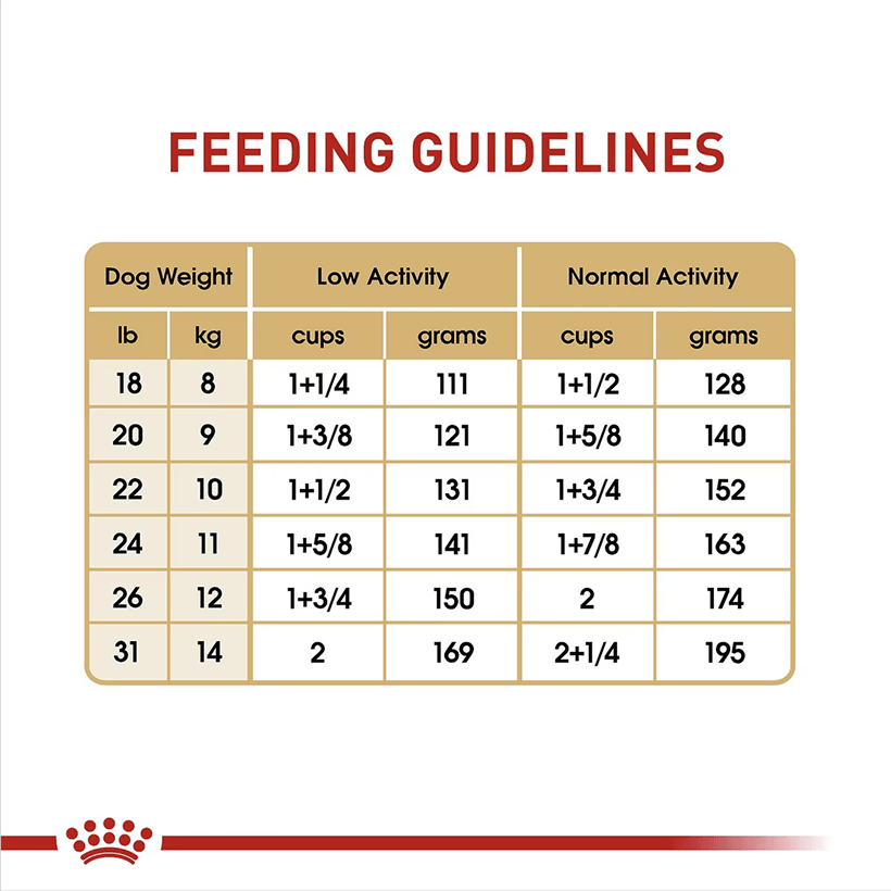 Royal Canin French Bulldog Breed Health Nutrition Feeding Guidelines