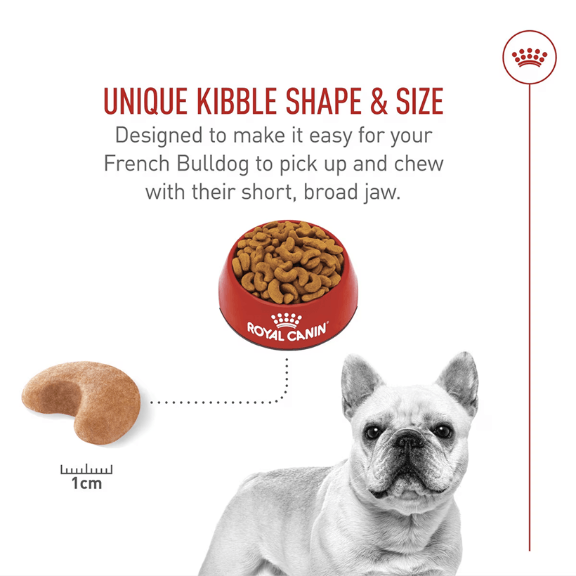 Royal Canin French Bulldog Breed Health Nutrition Perfect Shape Size