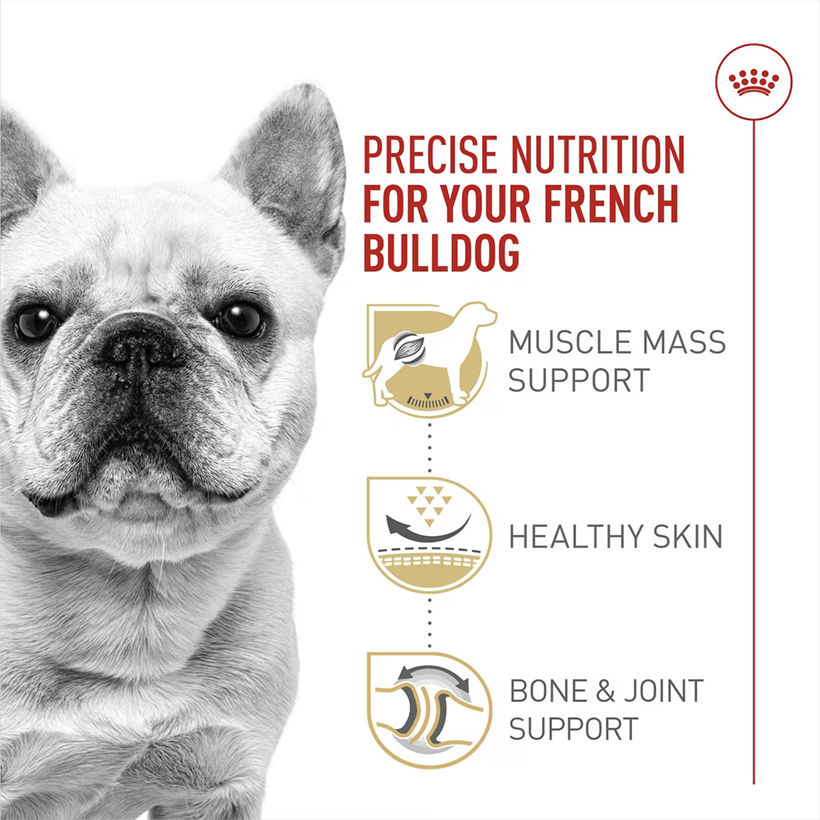 Royal Canin French Bulldog Breed Health Nutrition Special Food