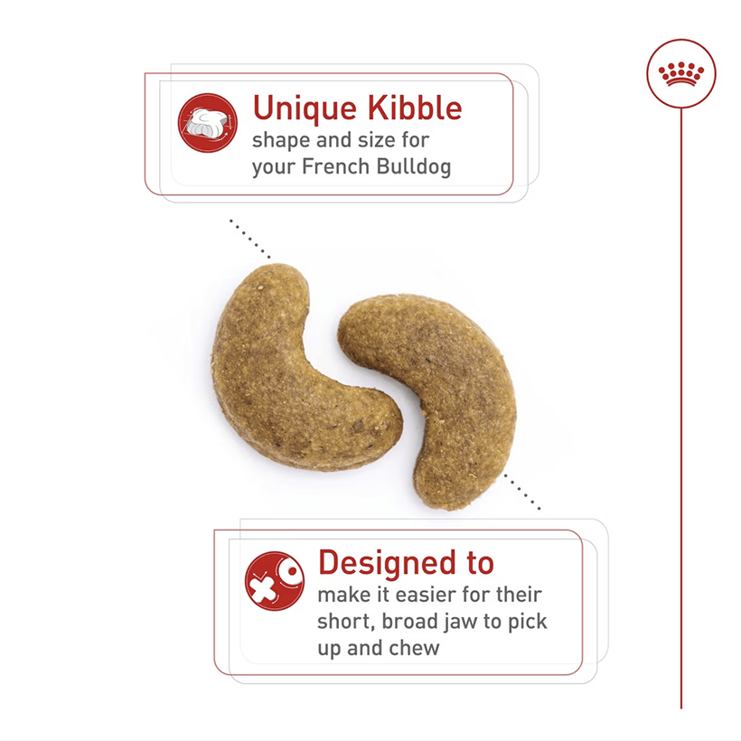 Royal Canin French Bulldog Breed Health Nutrition Unique Kibble